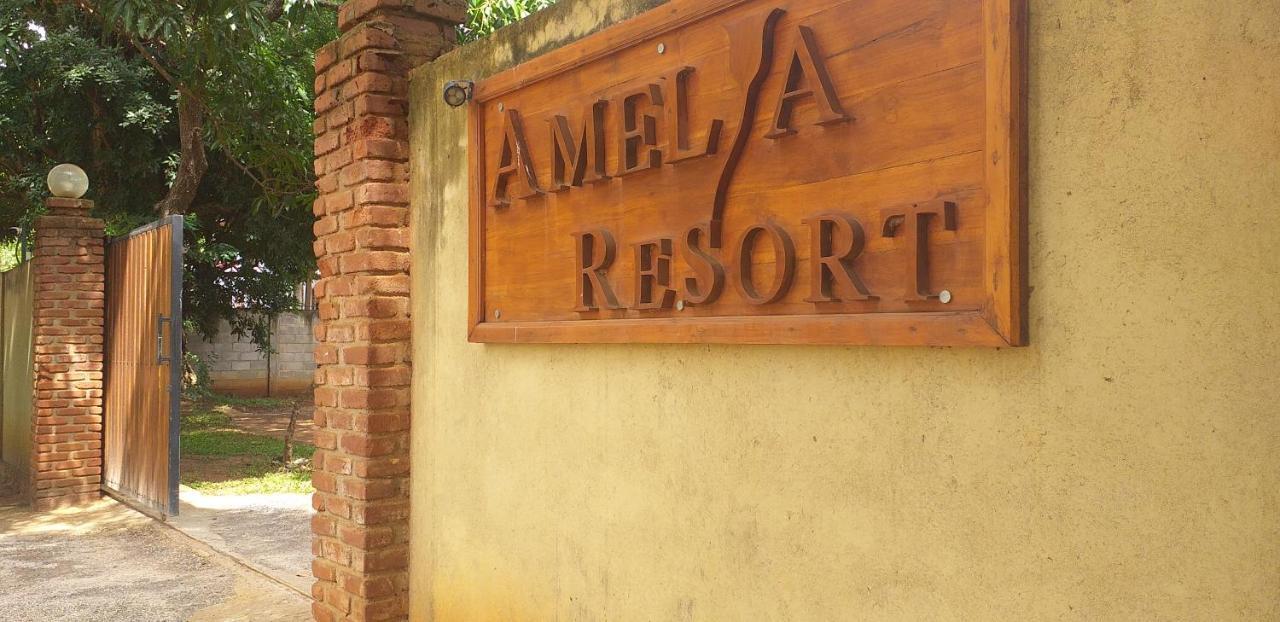 Amelia 4* Sigiriya