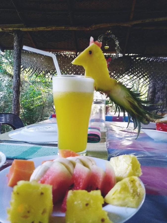 Bed & Breakfast Grand Freedom Sigiriya