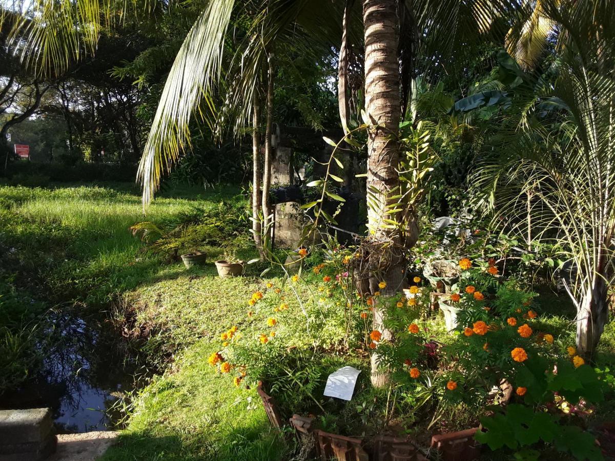 Asiri Homestay *