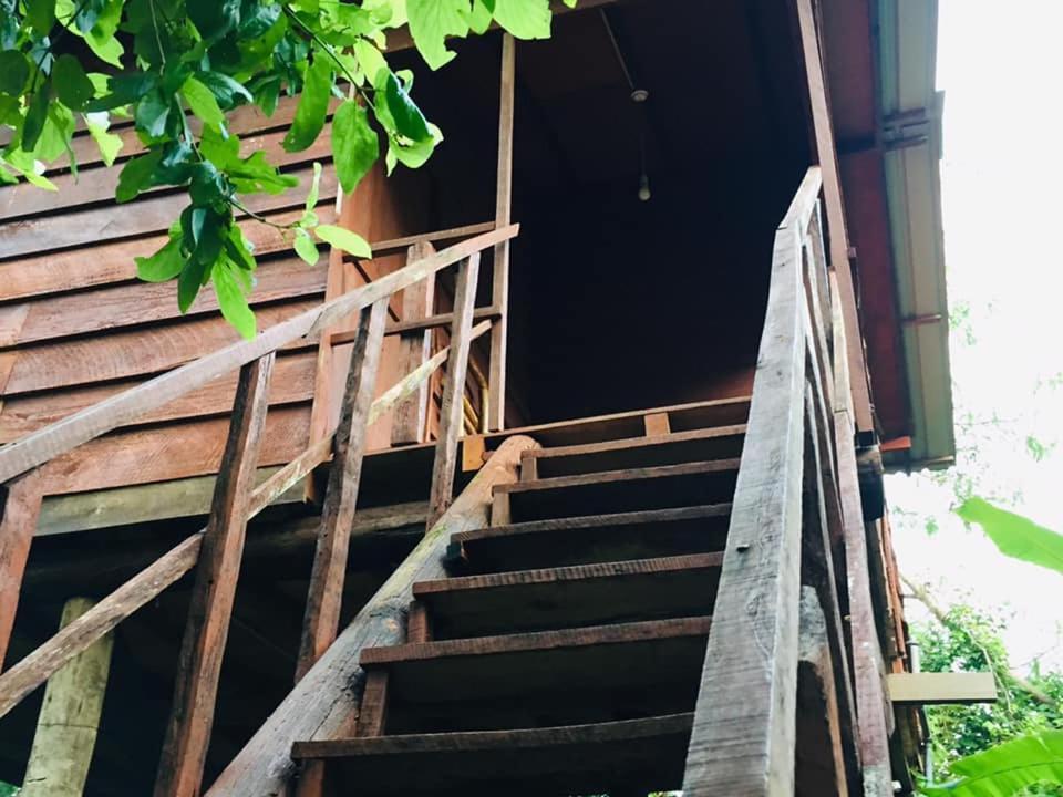 Tree House Sigiriya