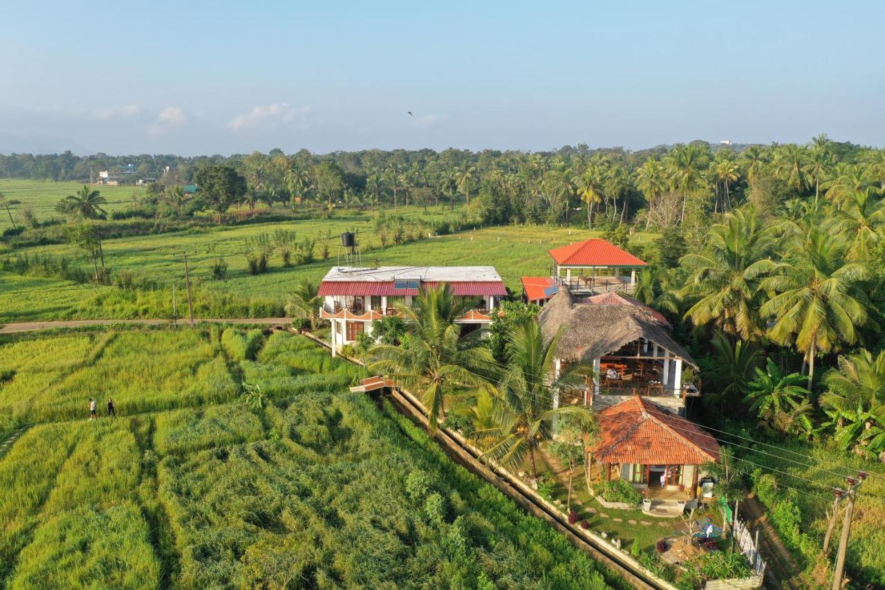 Guest house Nelu 3*